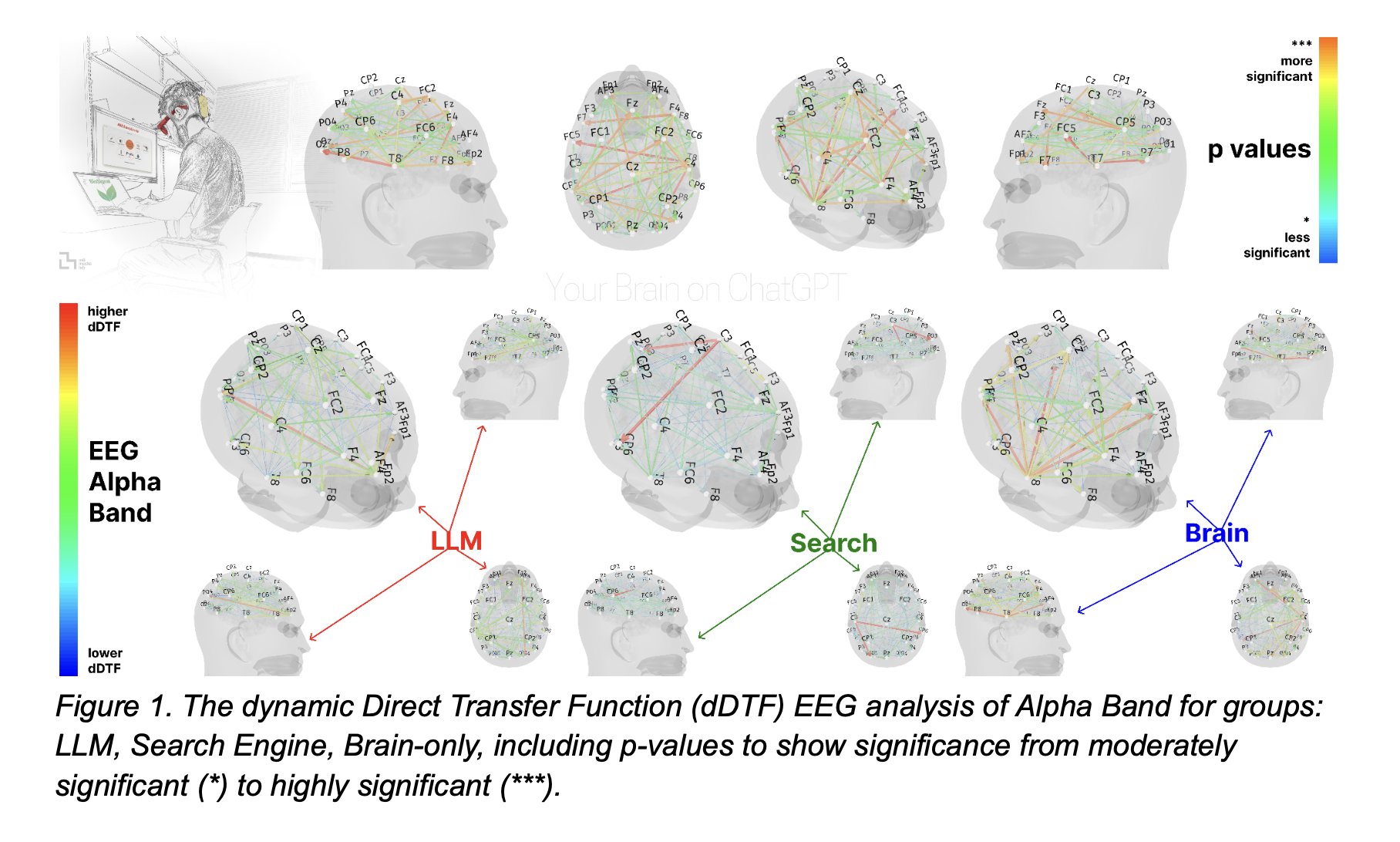 analisi del cervello nei 3 esperimenti del mit